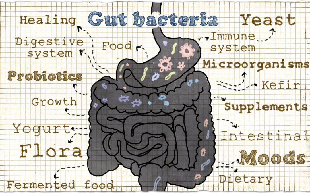 Steps to Healing your Gut on Keto